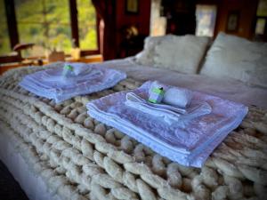 Una cama con dos toallas encima. en Homestay at "Explore Cafe & Lodge" with stunning ocean view in Chiloe Island, Patagonia en Duhatao