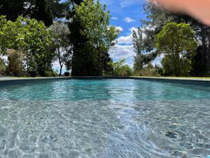 uma piscina de água com árvores ao fundo em Superbe annAix de villa em Aix-en-Provence
