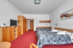 Posteľ alebo postele v izbe v ubytovaní Hotel Za Vodou