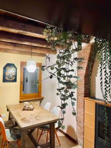 een eetkamer met een tafel en een plant bij Romeos Cottage Public free parking 2 bedrooms in Verona