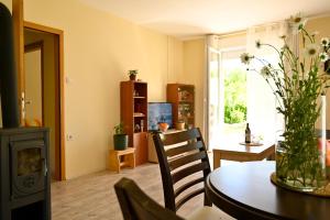 a living room with a table and a fireplace at Jelena in Cetinje