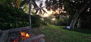 a fire pit in the grass in a park at 6 The Bridge Self Catering Apartment in St Lucia