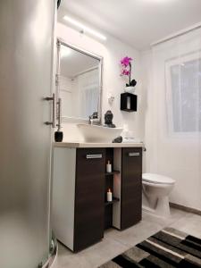 een badkamer met een wastafel, een toilet en een spiegel bij Nyuszis Apartman in Kiskunmajsa