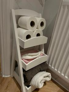 a shelf with rolls of toilet paper in a room at Eldridge Court Apartment in Dagenham