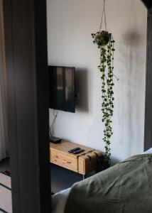Habitación con TV y mesa con planta. en Bed en Breakfast Hartenlust kamer de Bedstee en Bodegraven