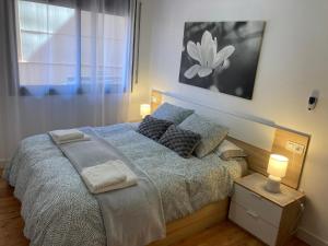 1 dormitorio con 1 cama con 2 almohadas en Roshi's Home, en Sant Jaume d'Enveja