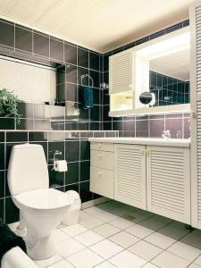 a bathroom with a toilet and a sink at 3 BR home for 9 guests in a quiet neighborhood in Tórshavn