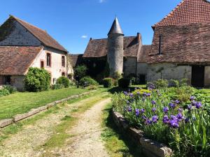 a path through a garden with purple flowers at Chateau Mareuil in Brigueuil-le-Chantre