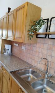 cocina con fregadero y encimera en Apartments Villa Ksenija, en Umag