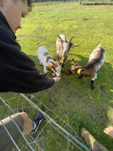 Photo de la galerie de l'établissement Gîte - La Ferme à la Plage, à Le Porge