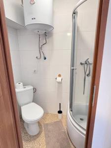 un piccolo bagno con servizi igienici e doccia di Kawalerka w centrum miasta 60 a Łódź