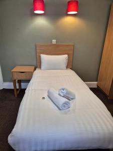Postel nebo postele na pokoji v ubytování Trecarn Hotel
