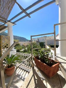 een balkon met twee potplanten op een gebouw bij Casa Pippo 2 in Anacapri