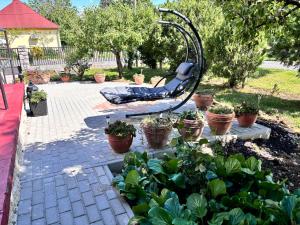 Vonkajšia záhrada v ubytovaní Diófa Apartman Balatonederics