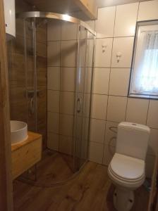 a bathroom with a shower and a toilet and a sink at U Dziadka 