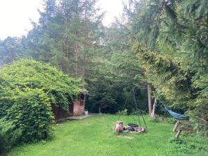 a yard with a hammock in the grass at U Dziadka 