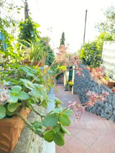 Galeriebild der Unterkunft La Ciammurrella b&b in Anacapri