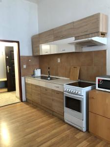 Kuchyň nebo kuchyňský kout v ubytování Apartmány Pražská