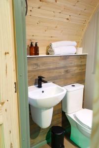 a bathroom with a sink and a toilet at Primrose Glamping Pods in Ingleton 