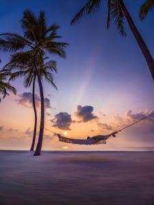 a hammock on a beach with two palm trees at One&Only Reethi Rah in Reethi Rah