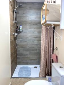 een kleine badkamer met een douche en een toilet bij Penn Gardens Flat 1 - 2 - 3 & 4 Apartments in Havering atte Bower