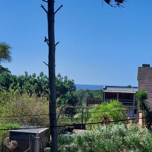 Casa Amarilla con Jacuzzi في بونتا ديل ديابلو: شجرة أمام مبنى مع المحيط في الخلفية