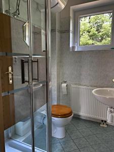 Ένα μπάνιο στο Apartment Okolo Pece