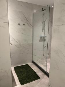 een douche met een glazen deur en een groen tapijt bij Boulevard 3F in Arnhem