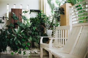 Sumanas Homestay Ijen في بانيووانجى: كرسي ابيض جالس بجانب مجموعه نباتات
