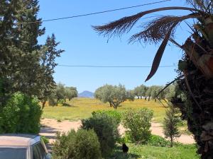 una vista de un campo con un coche y un pájaro en Villa Julia Veneria en El Kef