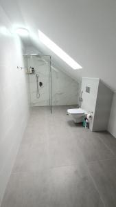 Un baño blanco con ducha y WC. en MRȘ House 1, en Bucarest 19 fotos más