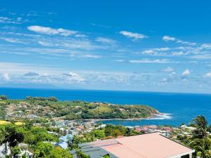 an aerial view of a city and the ocean at VILLA C'MARGOT in Marigot