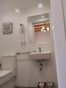 La salle de bains est pourvue d'un lavabo, d'un miroir et de toilettes. dans l'établissement Hospedaje Vega, à Santillana del Mar
