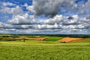 un campo verde con un cielo nublado y nubes en Ginko, en Castrocaro Terme