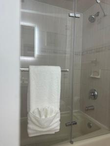 a shower with a glass door with a towel at Pipo’s perfect place in Jersey City