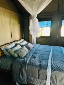 Schlafzimmer mit einem Bett mit blauer Bettwäsche und einem Fenster in der Unterkunft Harmony Haven Eco Camp, Udawalawa in Udawalawe