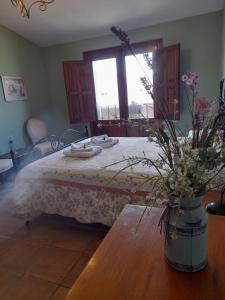 Imagen de la galería de Els Canterers, en Miravet