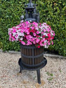 a bucket of pink flowers in a fire hydrant at Assisi, la Noce in Petrignano
