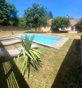 una piscina en un patio con sillas y una planta en Savannah, en Muhlbach-sur-Munster
