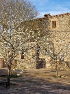 RupiáにあるMas Catalàの石造りの建物の前に白い花を咲かせる二本の木