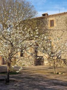 Fotografie z fotogalerie ubytování Mas Català v destinaci Rupiá
