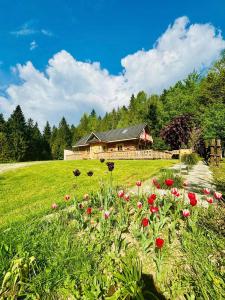 a house with a field of flowers in front of it at Oskarówka domek w górach na odludziu z jacuzzi i sauną - kominek i Netflix in Szczawa