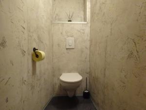 een badkamer met een toilet en een raam bij Ferienwohnung Rita Kröll in Mayrhofen