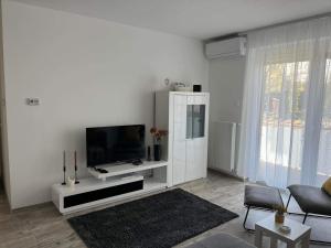Μια τηλεόραση ή/και κέντρο ψυχαγωγίας στο ADA Apartman Sopron