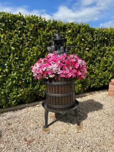 un lampadaire avec des fleurs roses devant une haie dans l'établissement Assisi, la Noce, à Petrignano