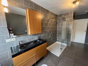 ein Bad mit einem Waschbecken, einem Spiegel und einer Dusche in der Unterkunft The Pipers in Middelkerke