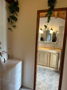 a bathroom with a mirror and a sink at Gîte Chez Pierrot in Vivario
