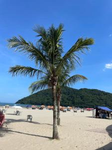 a palm tree on a sandy beach with umbrellas at Pousada Pura Vida Bertioga in Bertioga