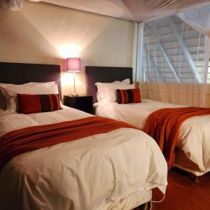 a hotel room with two beds and a window at Orange gecko cottage in Phalaborwa