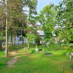 einen Hof mit einem Haus und einem Hund im Gras in der Unterkunft Augustówka - letnisko na Wrzosowiskach 